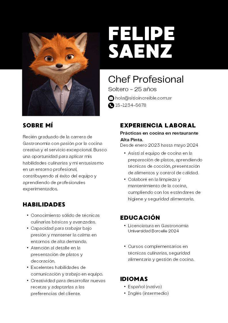 Ejemplo Paquete Currículums Editables